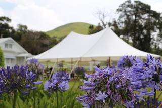 Naupaka Events & Weddings - 58