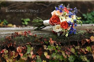 Tony Gibble Photography - 19