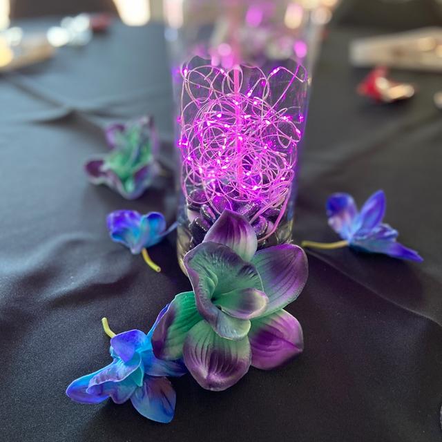 Janelle Atkins Events - 1