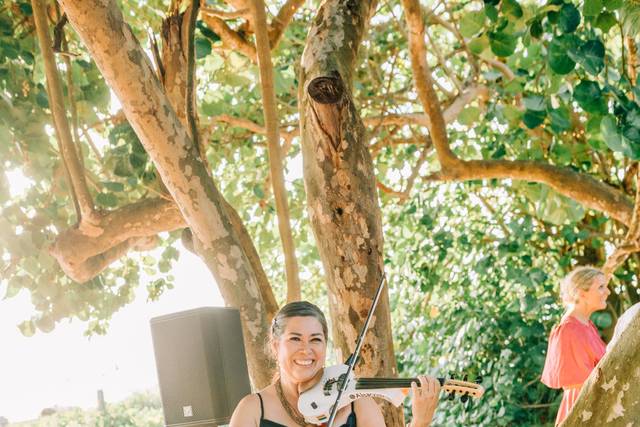 Alisar Electric Violin 2