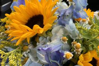 The Flower Garden - 14