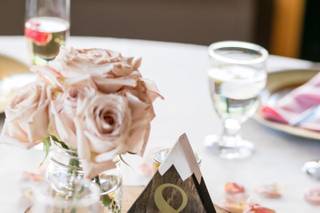 Alicia Pierce Photography - 19