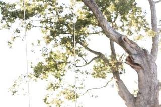 Emily Marcella Photography - 10