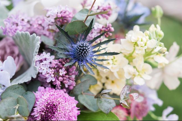 Sapphire and Lace Event Design - 4