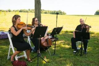 Stellare Strings - 13