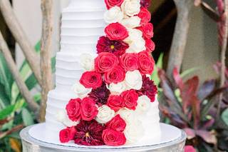Stephanie Weber Photography - 15