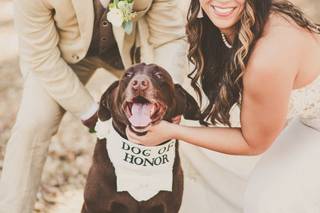 Brandi Royer Photography - 40