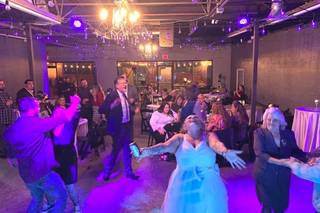 All World Entertainment DJ and Limo Service - 28