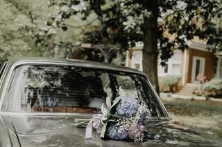 Brittney Jenkins Photography - 6