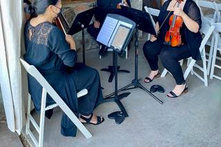 Ariana Strings - 21