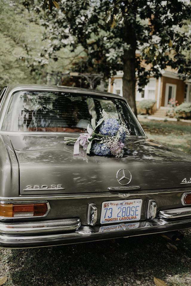 Brittney Jenkins Photography - 3