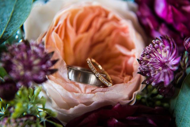 Peter Doyle Photography - 4
