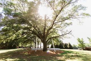 Camellia Gardens - 22