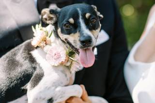 Loveridge Photography - 17