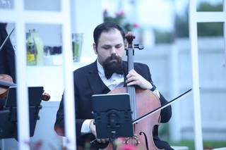 Viol Consort - 16