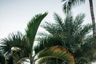 Limor Nagy Photography - 52