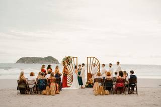 Tropical Occasions - 26