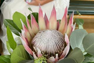 Montville Florist - 9