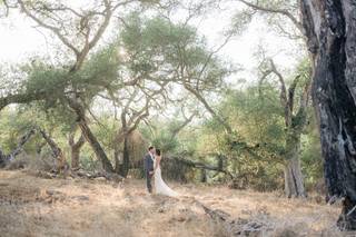 Elings Park - 7
