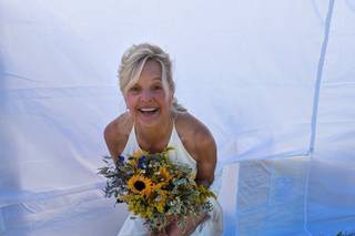Carefree Events - 10