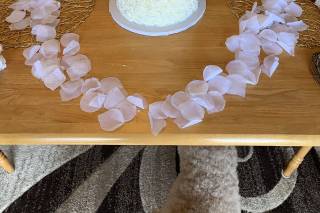 Cakes by Michele, LLC - 41