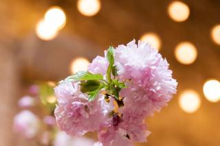 City Blossoms - 10