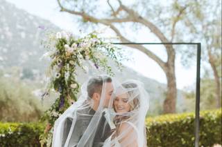 Ariele Chapman Photography - 8