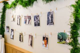 Everleaf Decorative Greens - 21