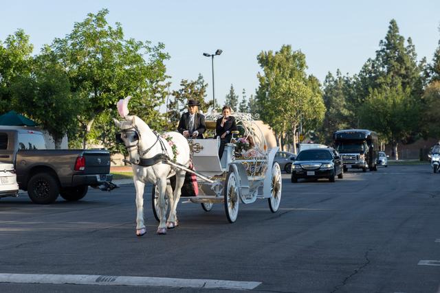 Merced Photography - 3