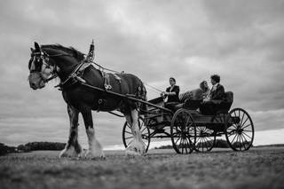 Buscemi Photography - 8