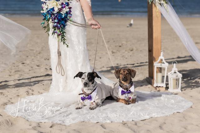 Heidi Borgia Photography - 4