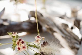 Sun + Life Photography - 19
