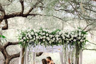 Frostings Event Design & Rentals - 6
