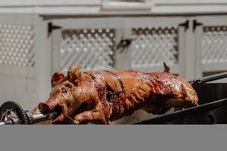 The Pig Kahuna - 5