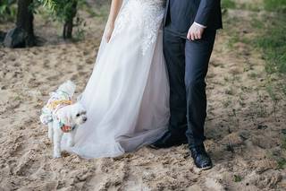 Vanessa Ray Photography - 9