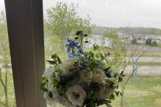 Blooms - 15