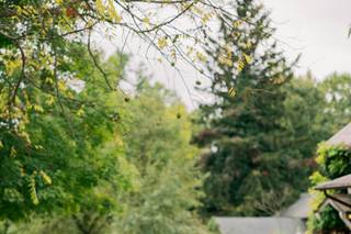 The MillCreek Wilde - 8