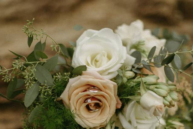 Hedge Fine Blooms 1