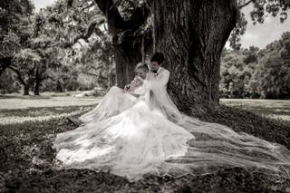 Wollwerth Imagery - 8