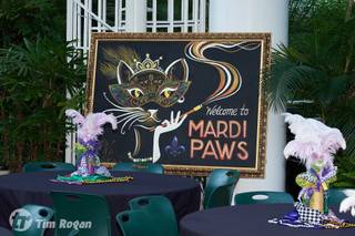 In Good Spirits, Bartending & Photo Booths - 22