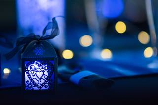 Blue Panda Photography - 6