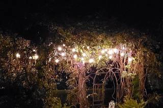 The Little Herb House - 11