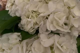 Blossom Shoppe - 25