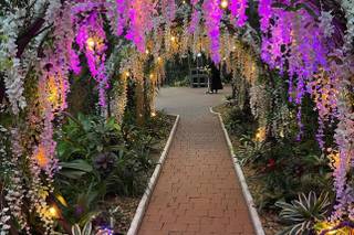 Keith Willard Events LLC - 18