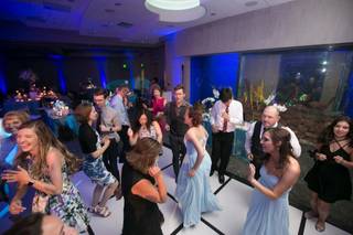 Chaos Productions Mobile DJ and Photo Booth Service - 7