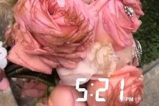 Wild Petals Floral - 5