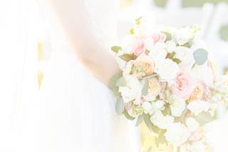 Pixel Dust Photography - 7