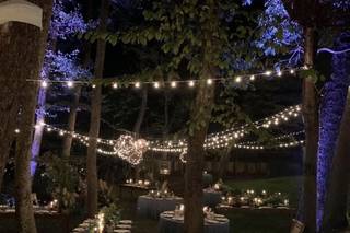 Sugar Snap Events - 18