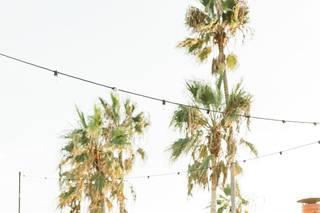 Palm + Pine Events - 10