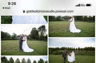 Kim Taylor Photography - 24